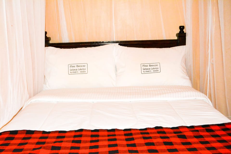 Standard Double Room, Mountain View | Minibar, individually furnished, desk, cribs/infant beds