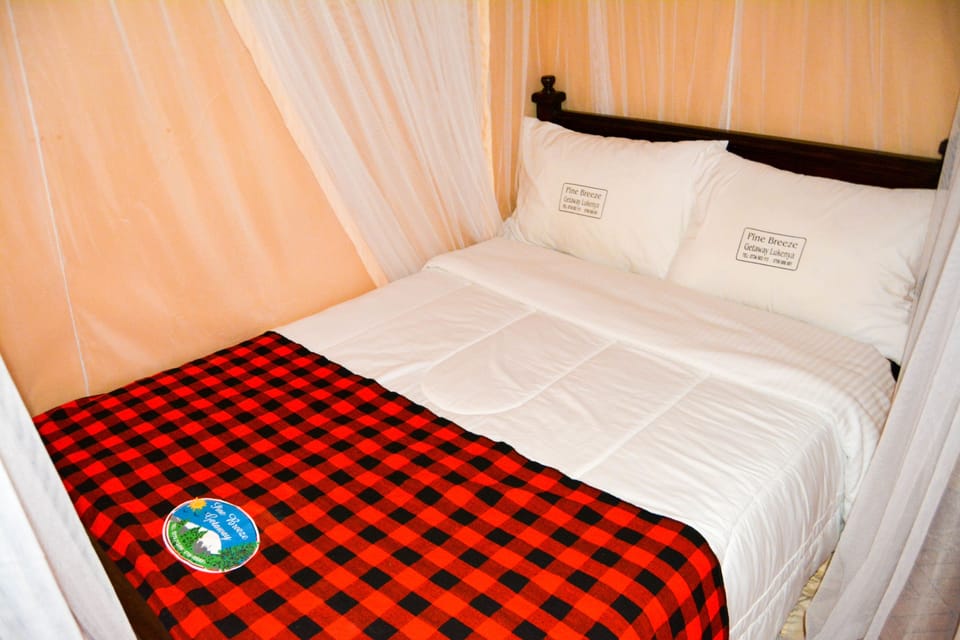 Standard Double Room, Mountain View | Minibar, individually furnished, desk, cribs/infant beds