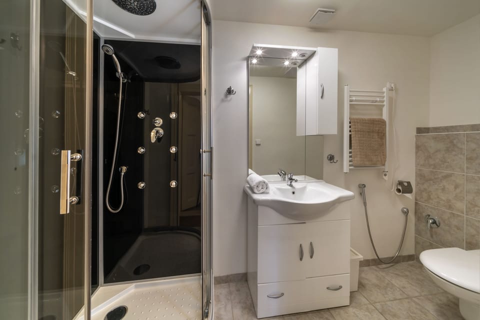Bathroom with shower and toilet
