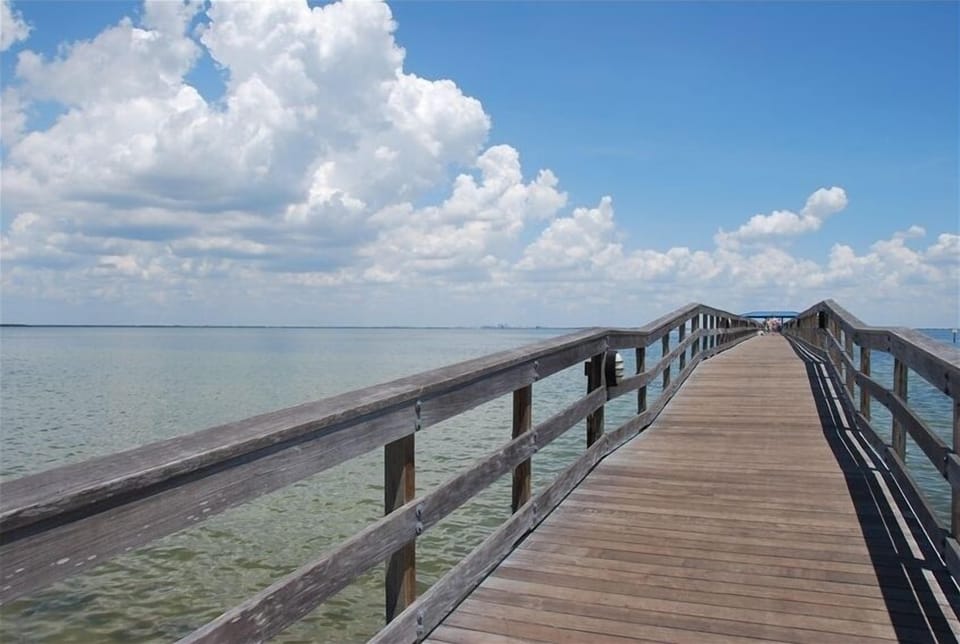 Just down the street watch the manatees from our Safety Harbor pier.