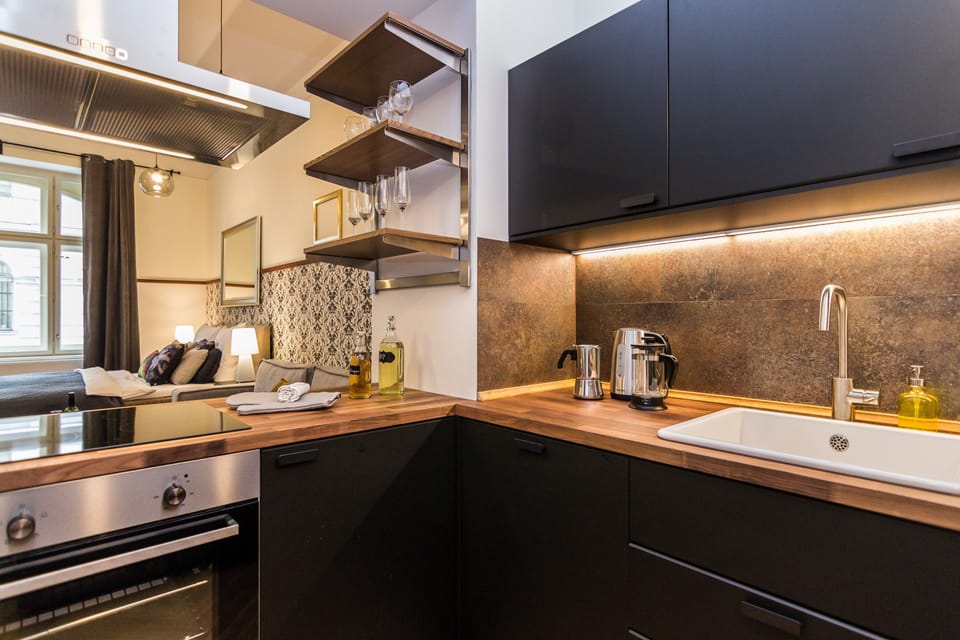 Classic Apartment | Private kitchen | Full-size fridge, oven, stovetop, dishwasher