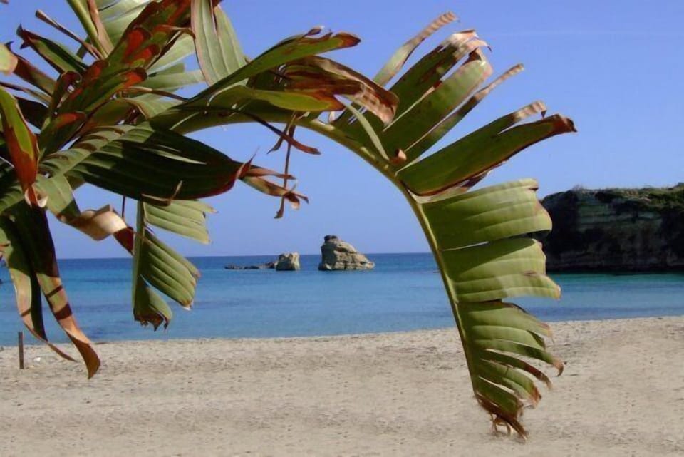 Beach nearby, sun loungers, beach umbrellas
