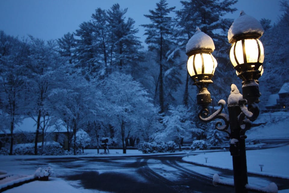 Winter wonderland on our property. 