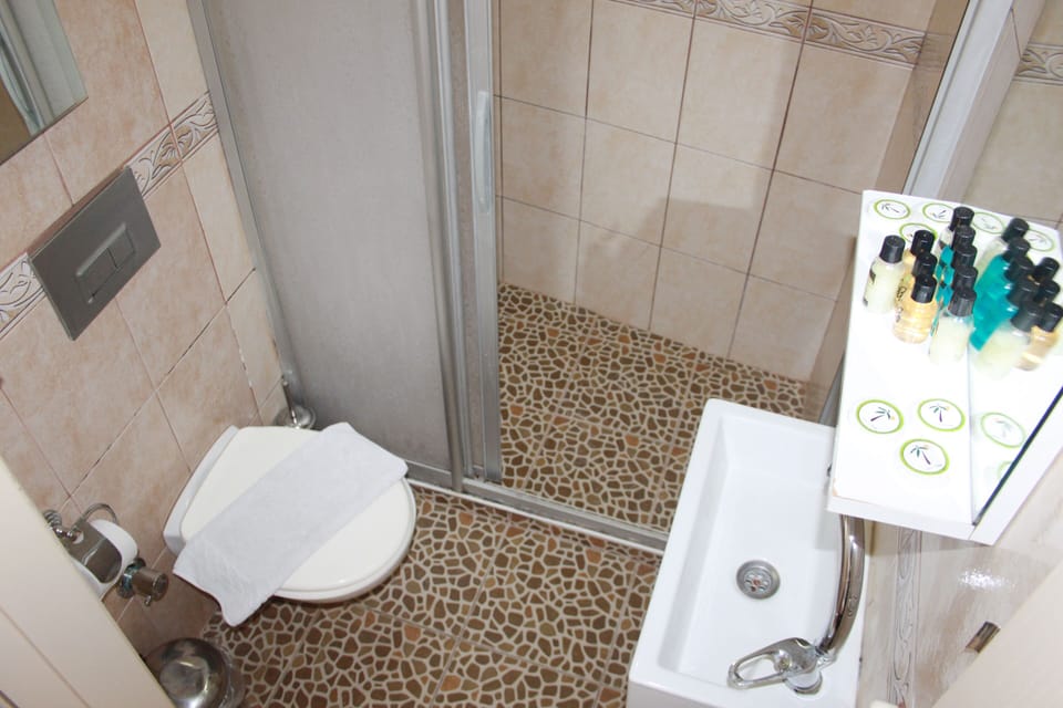 Shower, hydromassage showerhead, free toiletries, hair dryer