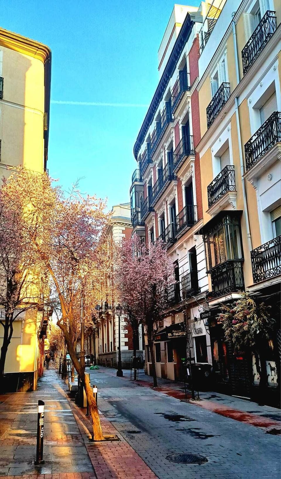 Artistic B&B Bed and Breakfast in Centro