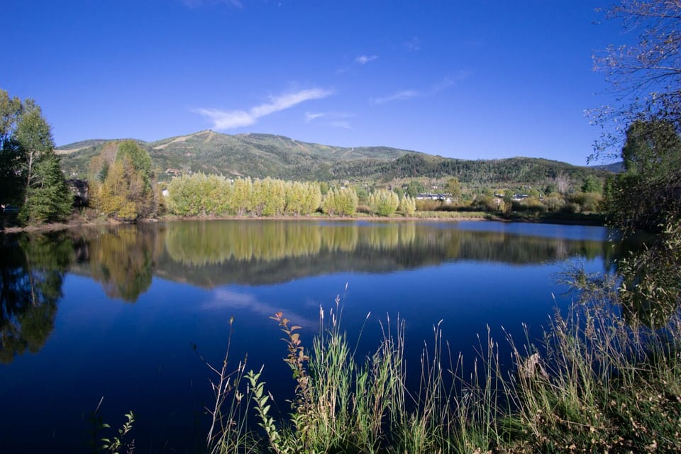 Indian Meadows Pond on the Property