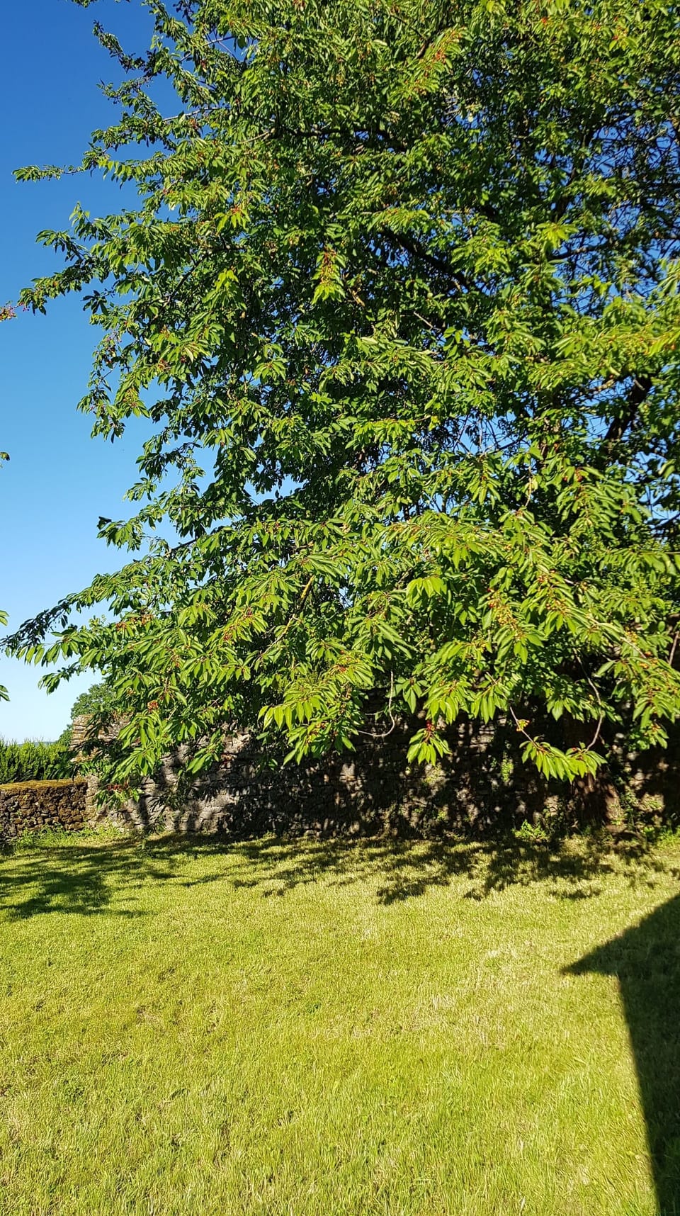 Pop the table and chairs under the tree for added shade....