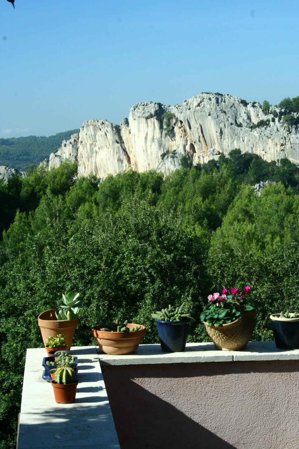 View from property