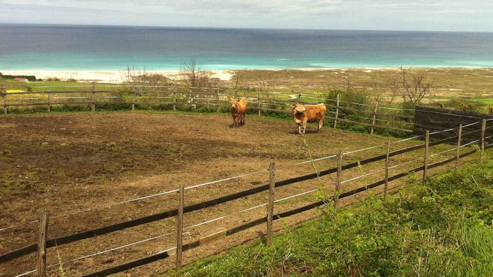 Small farm in the hamlet