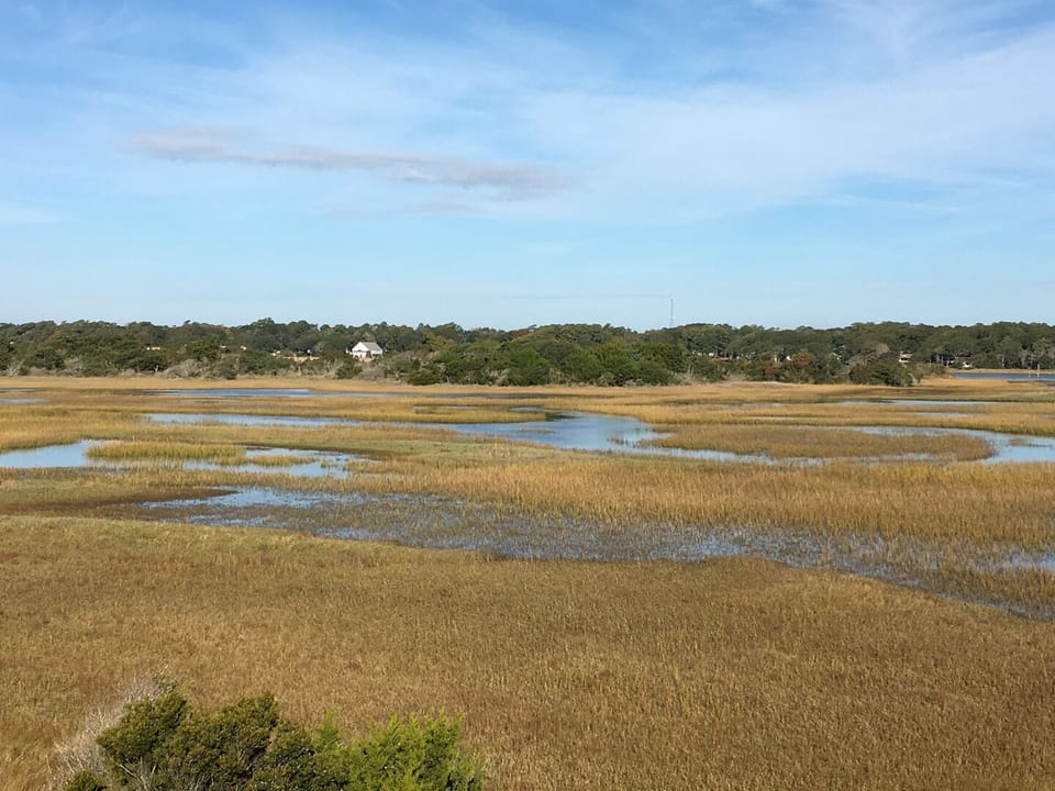 Marsh View