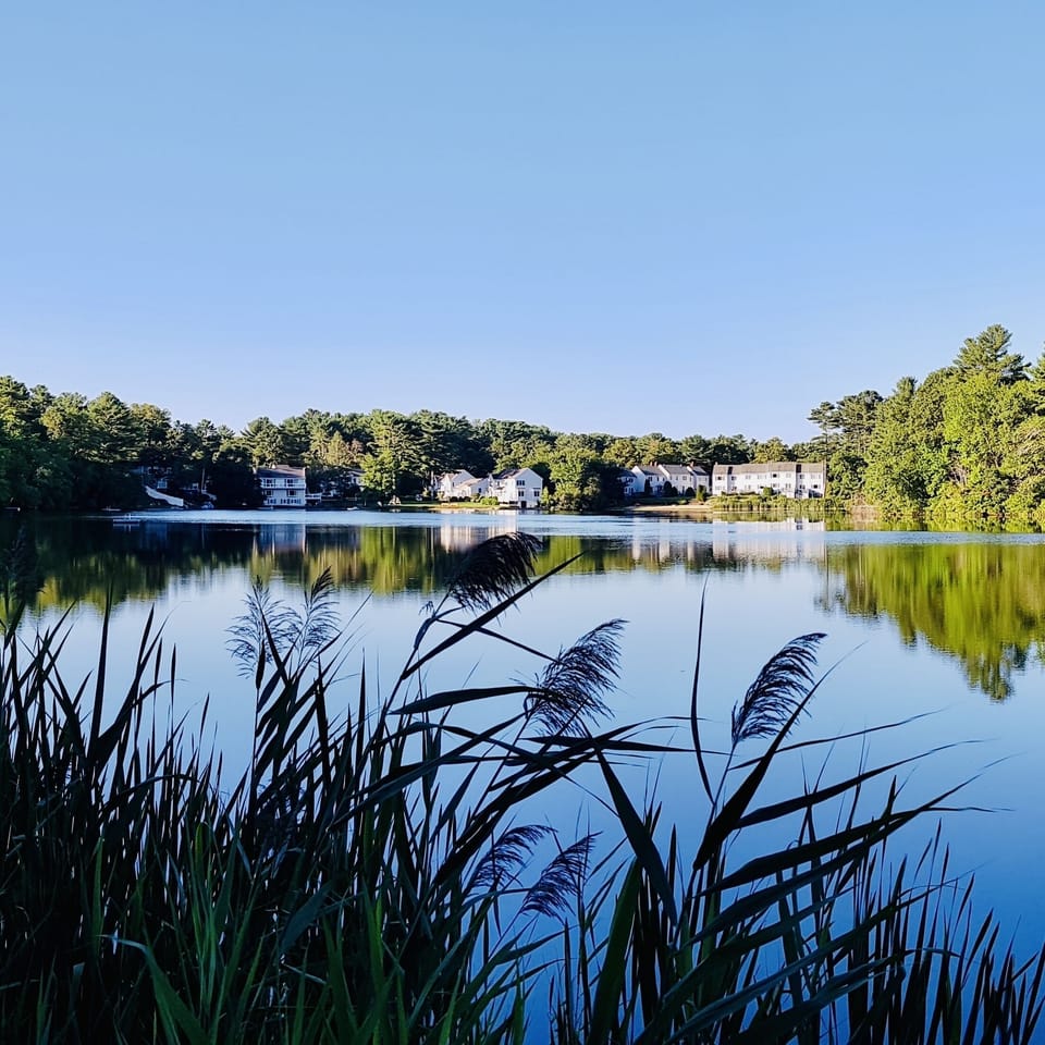 Clear Pond