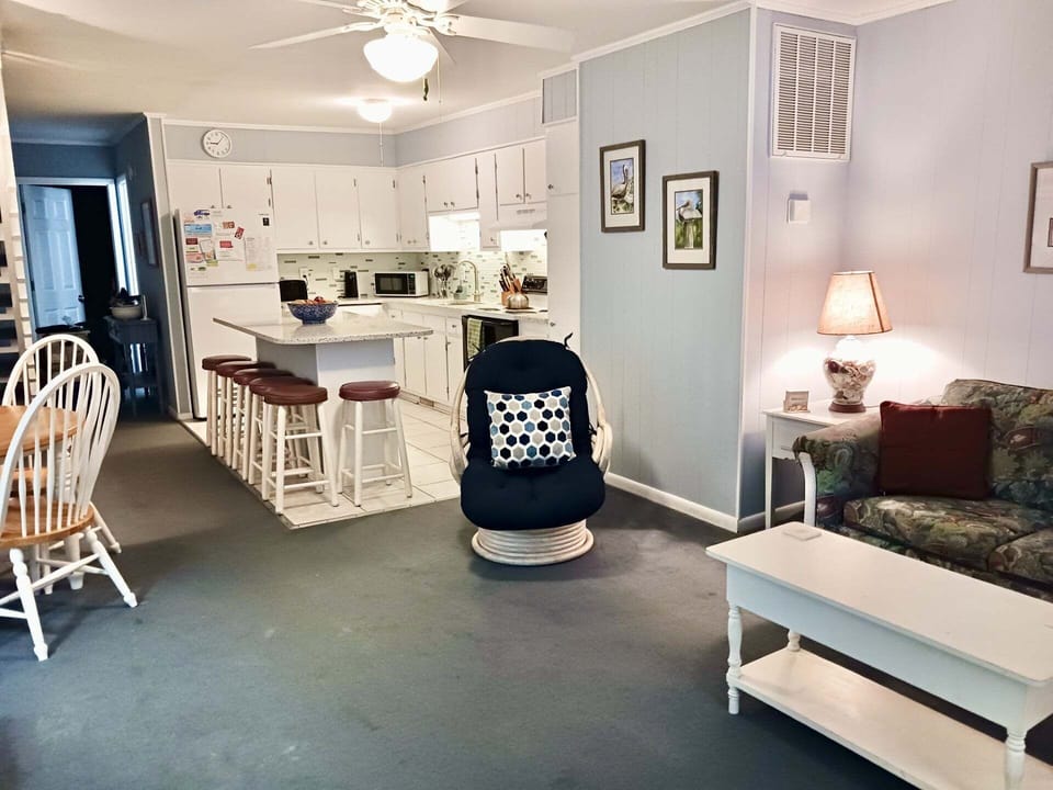 Lower Level Living Area and Kitchen