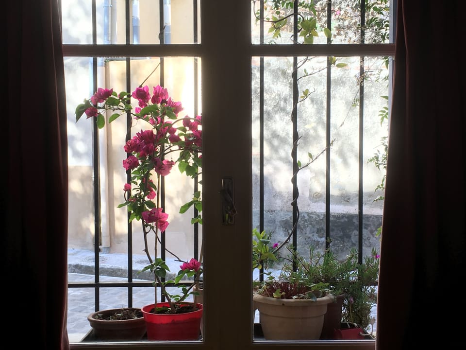 Dining area window