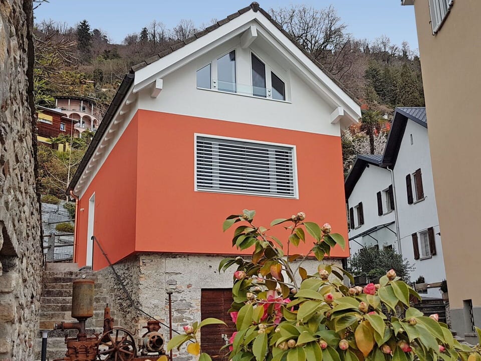 House, Property, Home, Building, Architecture, Real Estate, Wall, Window, Town, Leaf