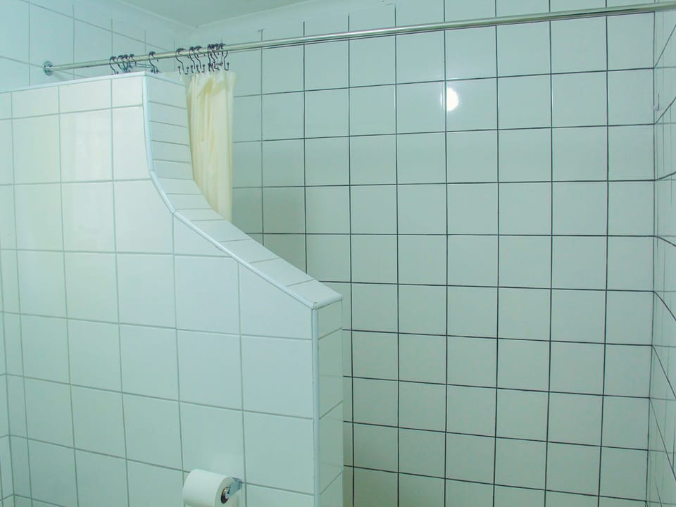 Family Double Room | Bathroom | Shower, free toiletries, hair dryer, towels