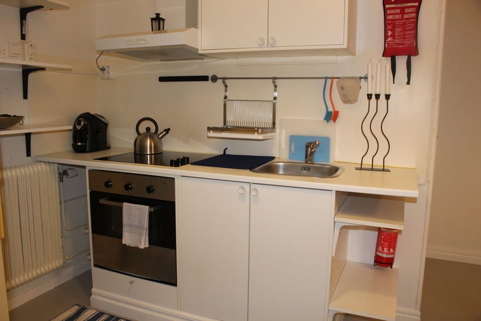 Classic Apartment, 1 Bedroom | Private kitchen | Coffee/tea maker, full-size fridge, oven, stovetop