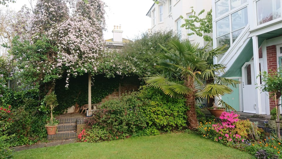 Relax in the garden