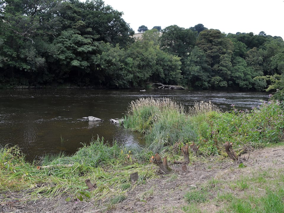 Double bedroom with en-suite bathroom | Edw Lodge - Boatside, Aberedw, near Builth Wells