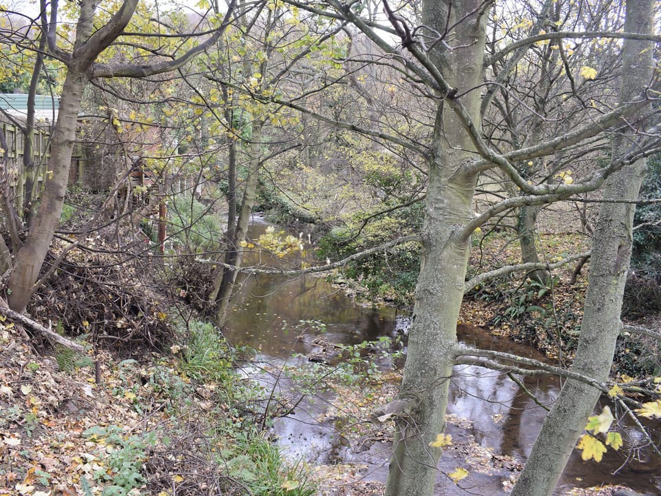 Nearby Staithes Beck | Pheasant Lodge, Staithes, near Whitby