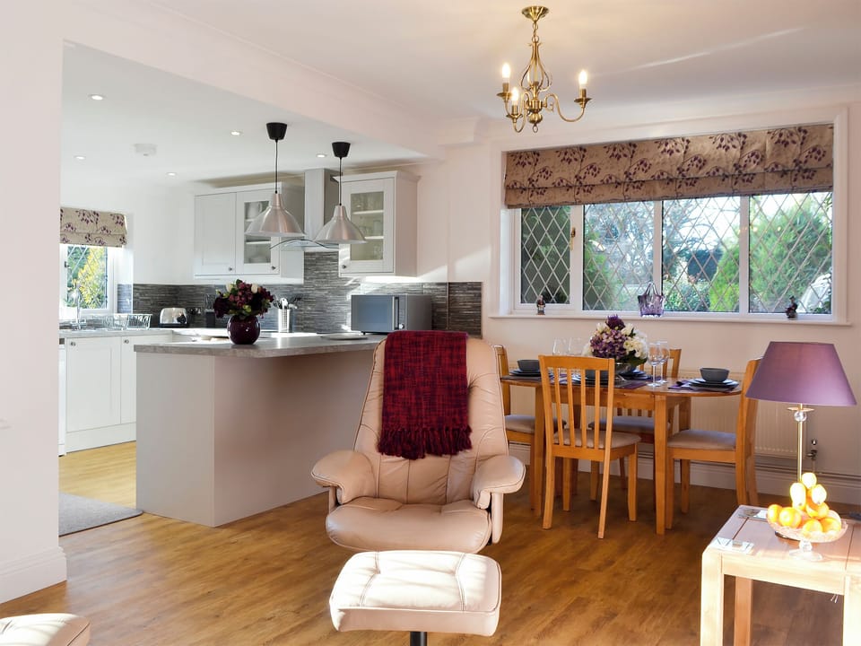 Open plan living space | Alice&rsquo;s Lodge - New Forest Cottages, Picket Hill, near Ringwood