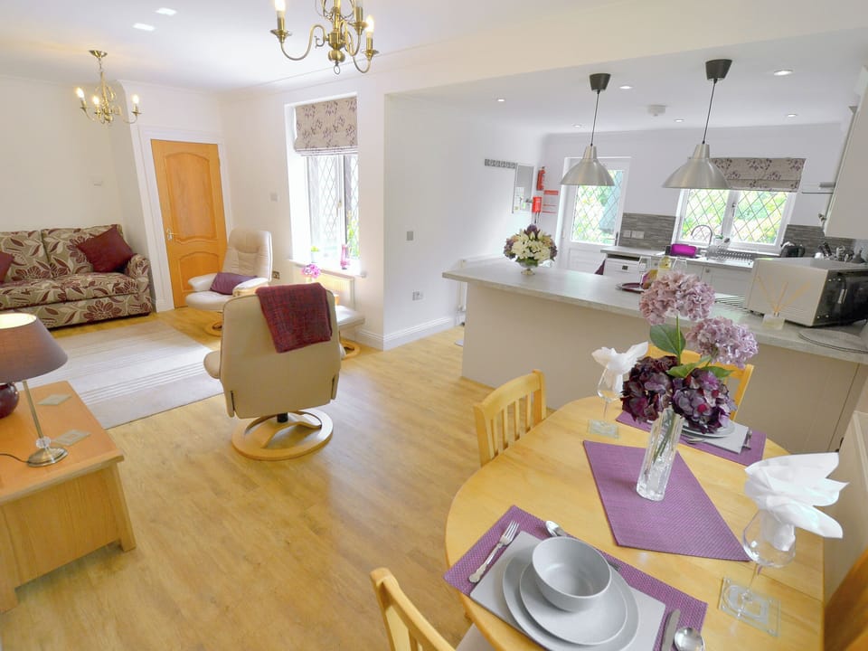 Open plan living space | Alice&rsquo;s Lodge - New Forest Cottages, Picket Hill, near Ringwood