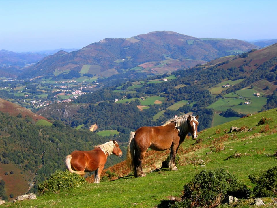Chambres d'Hôtes Idiartekoborda Bed and Breakfast in French Basque Country