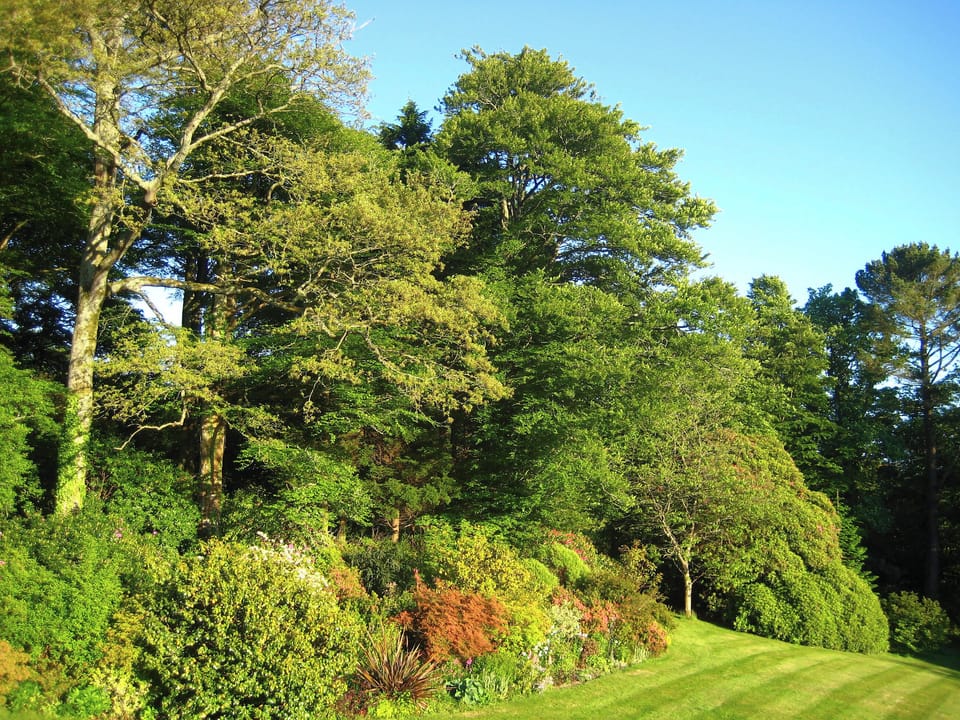 Extensive south facing grounds and borders enjoyed by Tristan&rsquo;s and Isolda&rsquo;s | Tristan&rsquo;s, Isolda&rsquo;s - Lanwithan Manor Apartments, Lostwithiel