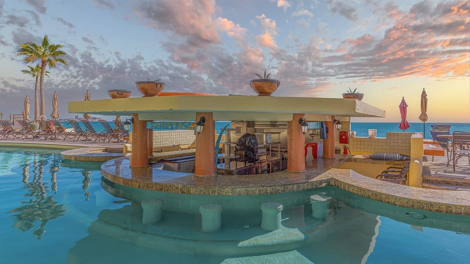 The swim up bar