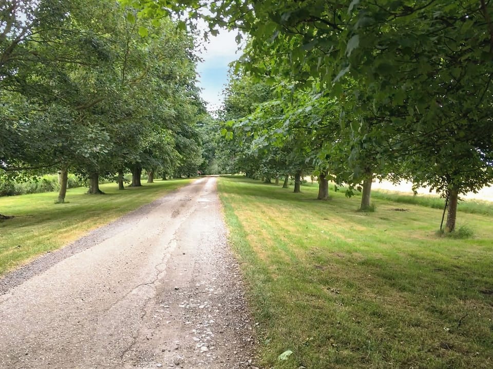 Driveway | Swan - Caves Farm Barns, Near Ely