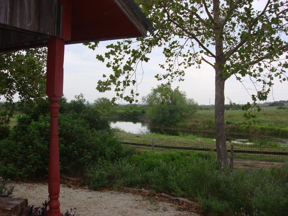 The pond from the porch. There's also a walking trail around the pond.