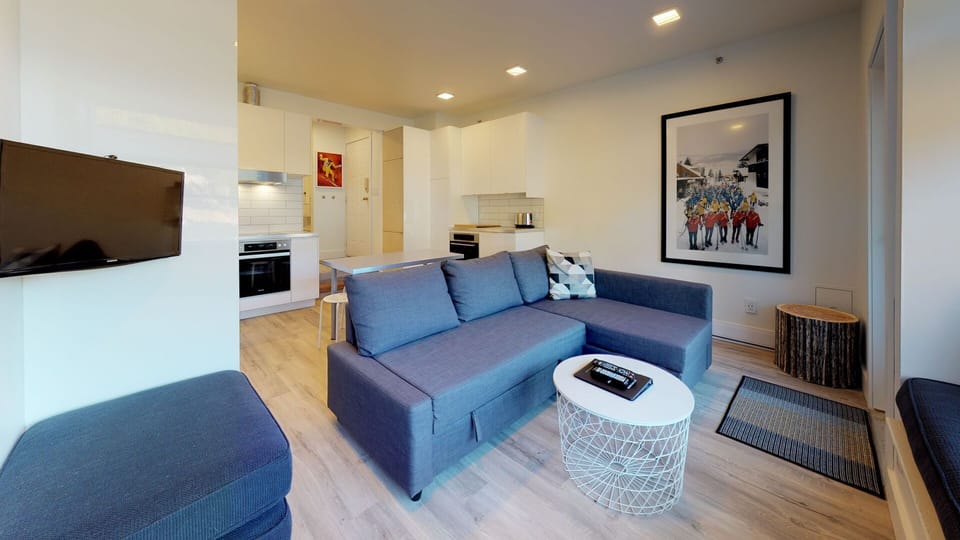 Sofa bed doubles the living space for extra guests or family