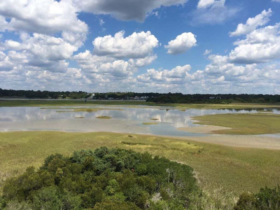 Marsh View
