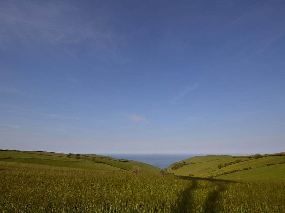 Stunning countryside location | Buzzards View, Kingswear