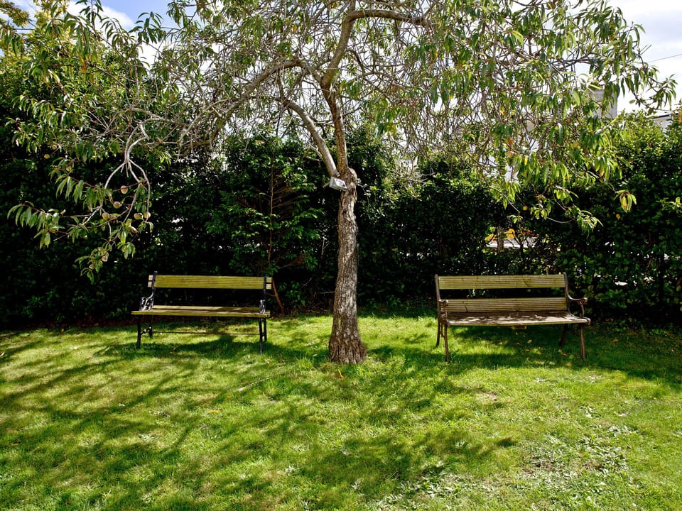 Garden | Devon Villa Garden Apartment, Torquay