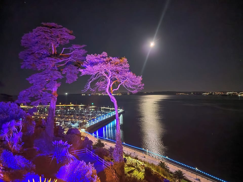 Surrounding area | Riviera Mews, Torquay