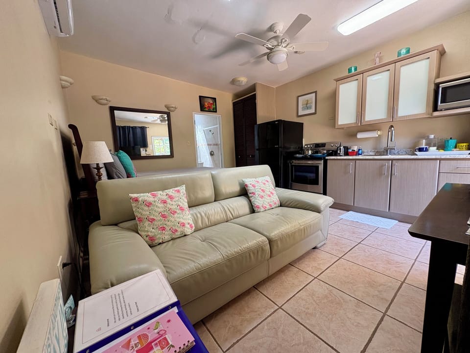 Studio with queen bed full kitchen and couch lo
