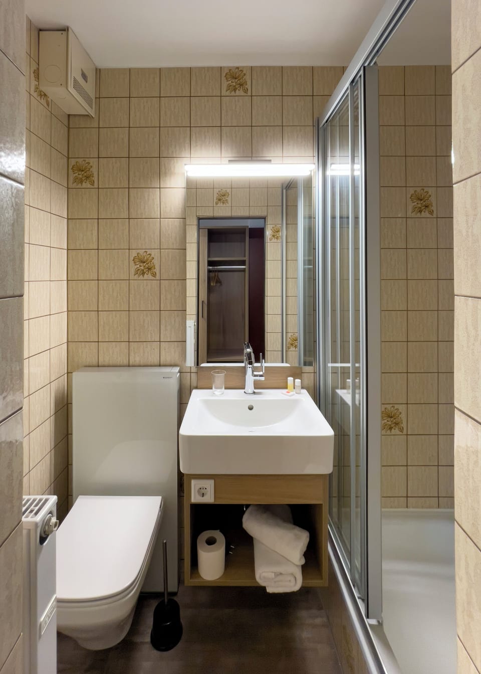 Shower, hair dryer, towels