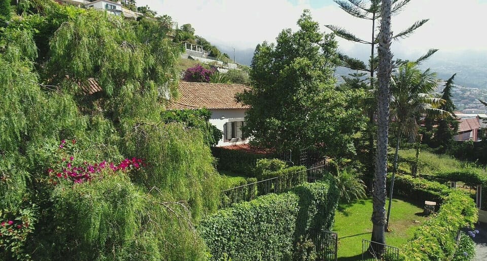 enjoy the beautiful garden