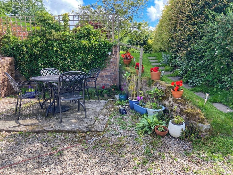 Sunny seating area in back garden | The Old School House Cottage, Kettins, near Blairgowrie