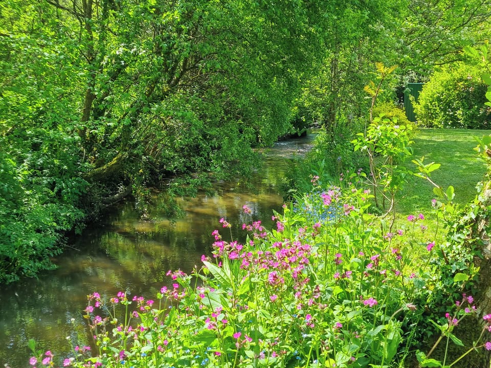 Surrounding area | Bluebell - Kilbol Country Cottages, Polmassick, near St Austell