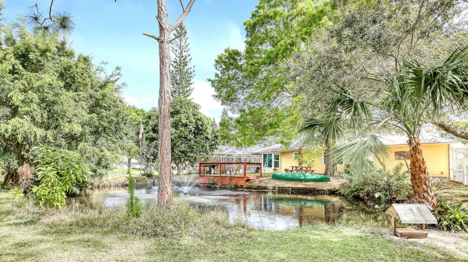 Large pond with ducks, koi fish, and panfish for you to enjoy.