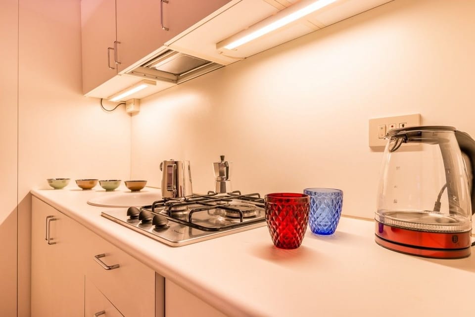 Apartment, 1 Bedroom | Private kitchenette | Full-size fridge, stovetop, coffee/tea maker, electric kettle