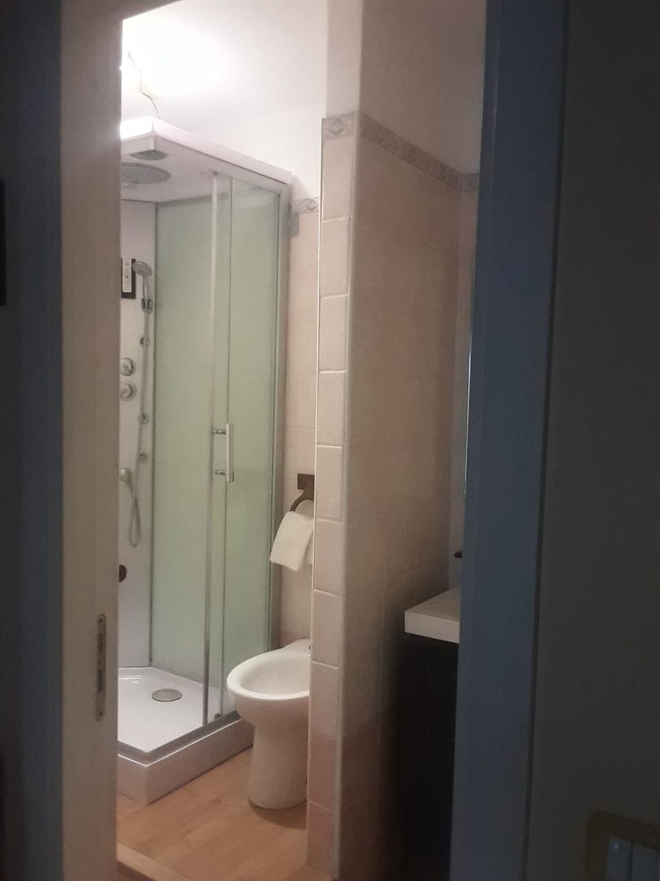 Shower, free toiletries, hair dryer, bidet