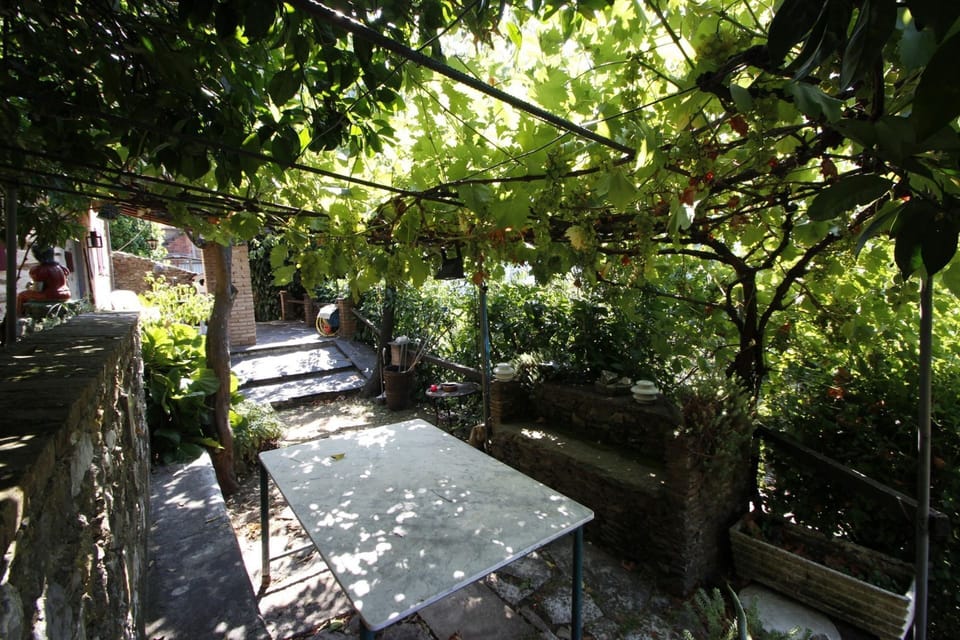 Building Exterior, Garden