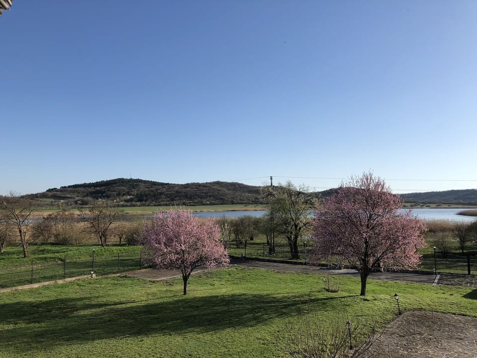 Superior Apartment, Multiple Beds, Lake View | View from room