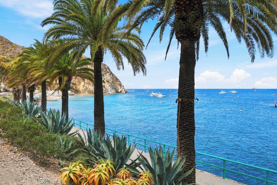 Catalina Courtyard Suites Hotel in Avalon