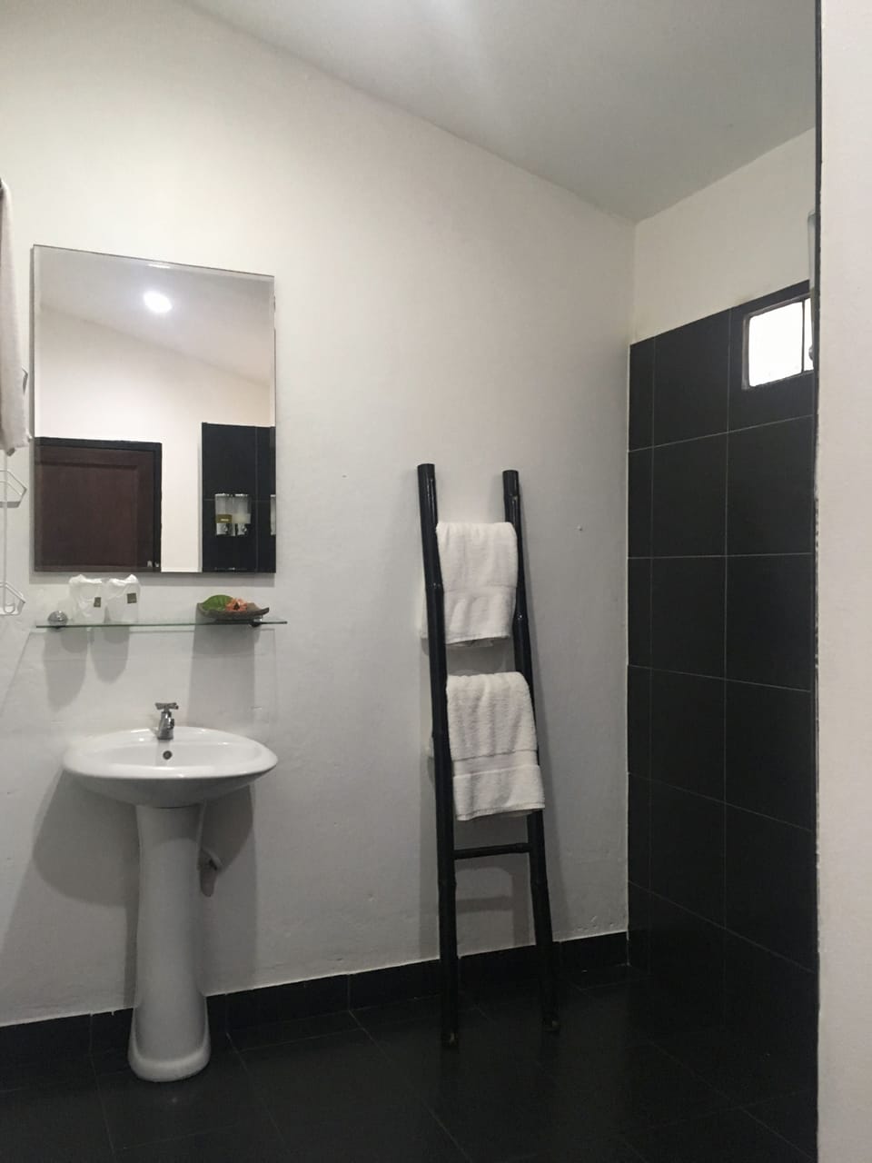 Shower, free toiletries, towels