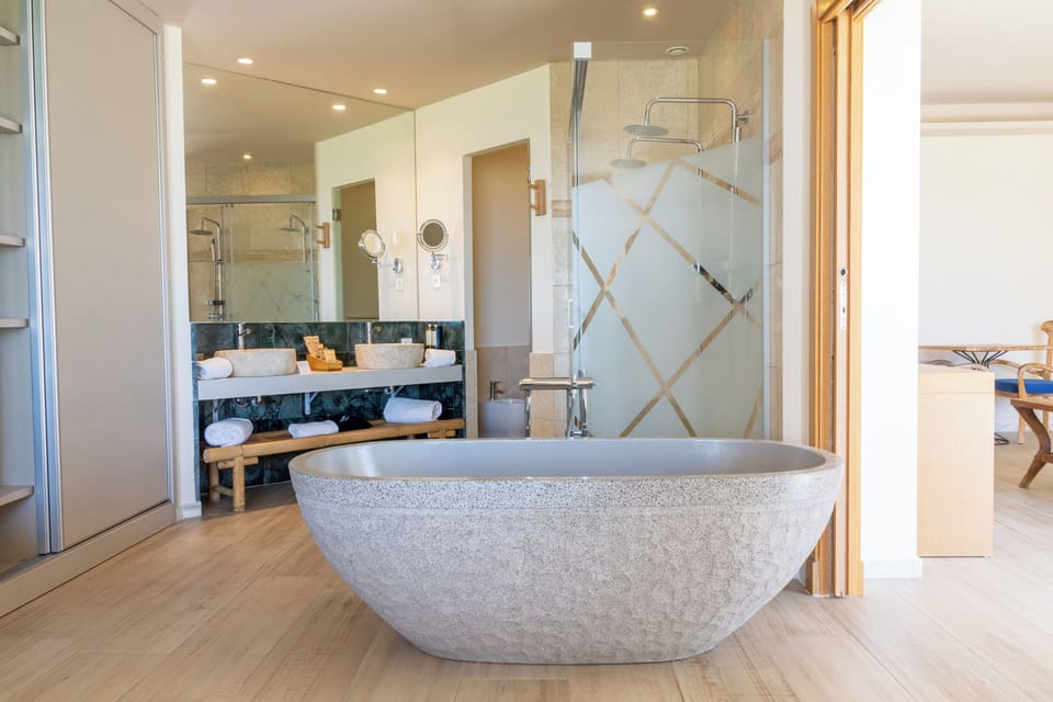Deluxe Suite | Bathroom | Free toiletries, hair dryer, towels, soap