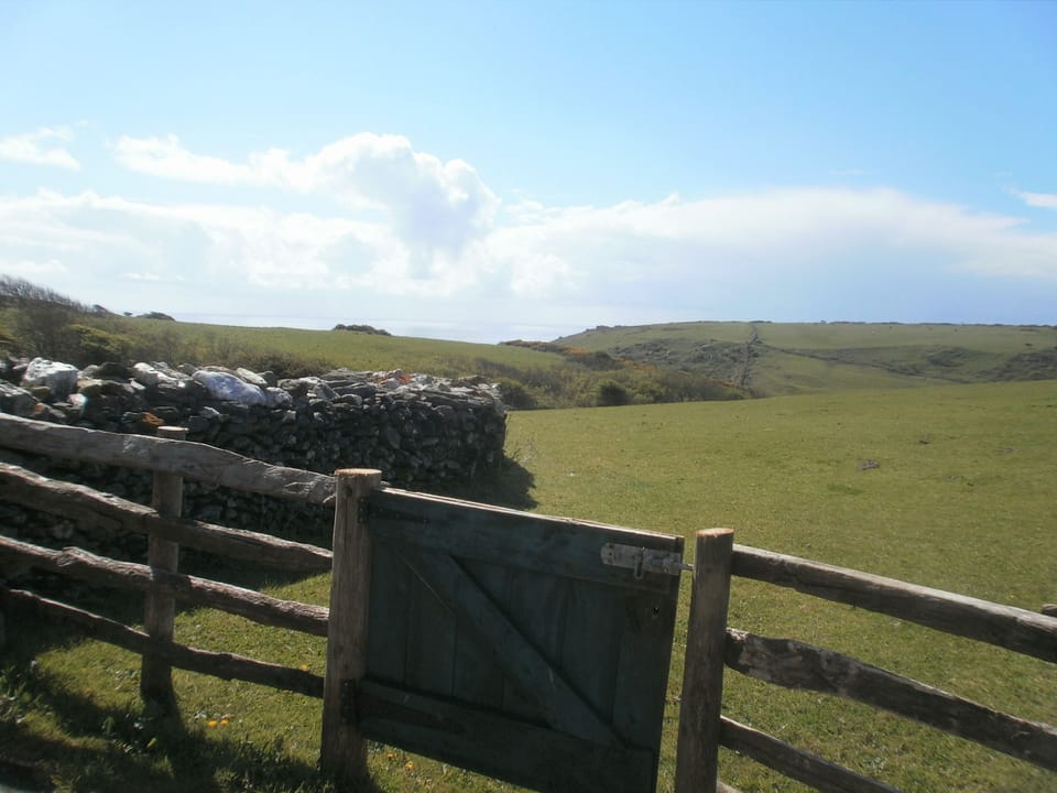 View of front field from private court yard.