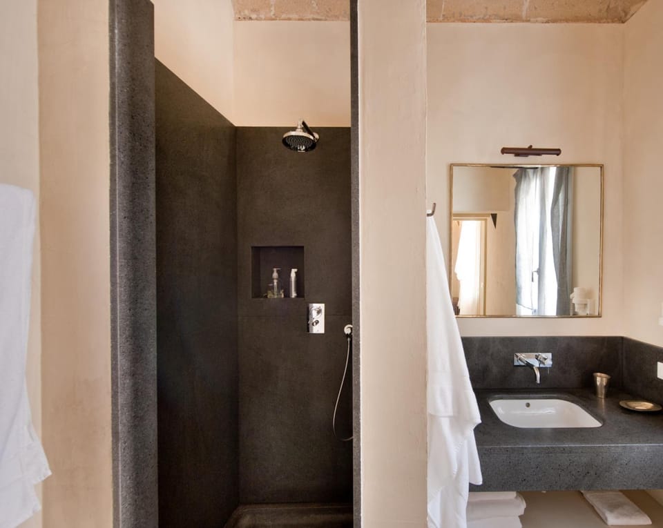 Shower, free toiletries, hair dryer, bidet